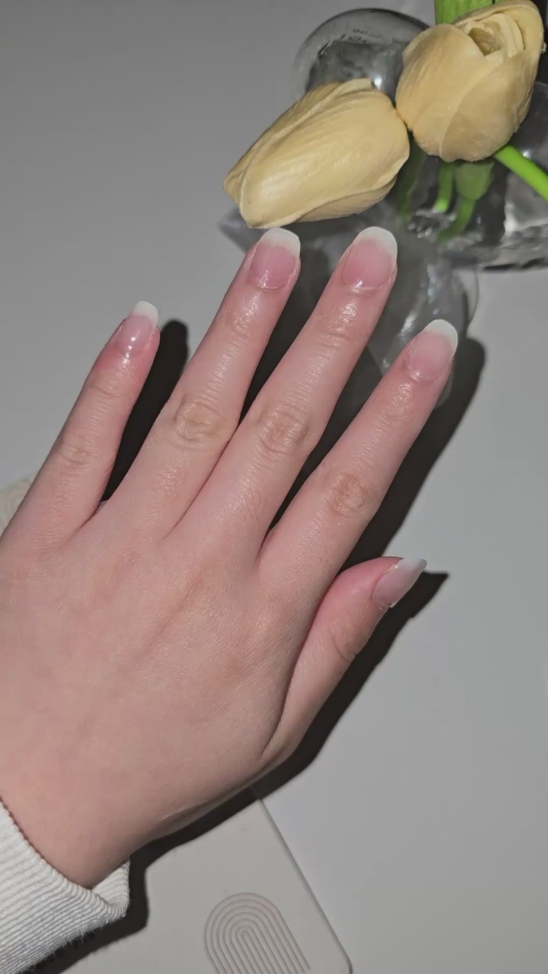 French Ombre Semi Cured Gel Nail Sticker Kit